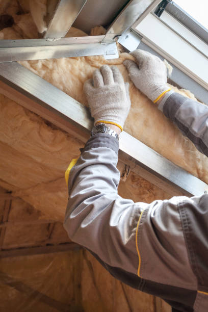 Best Eco-Friendly Insulation in Asbury, IA