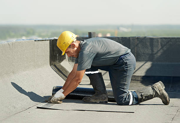 Trusted Asbury, IA Insulation Contractor Experts