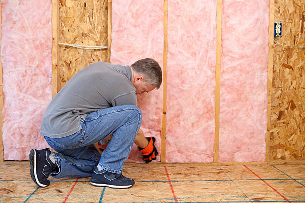 Best Energy Efficiency Insulation in Asbury, IA