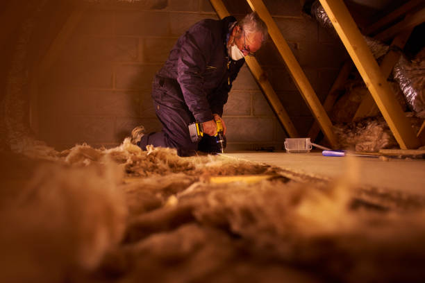 Best Specialized Insulation Services in Asbury, IA